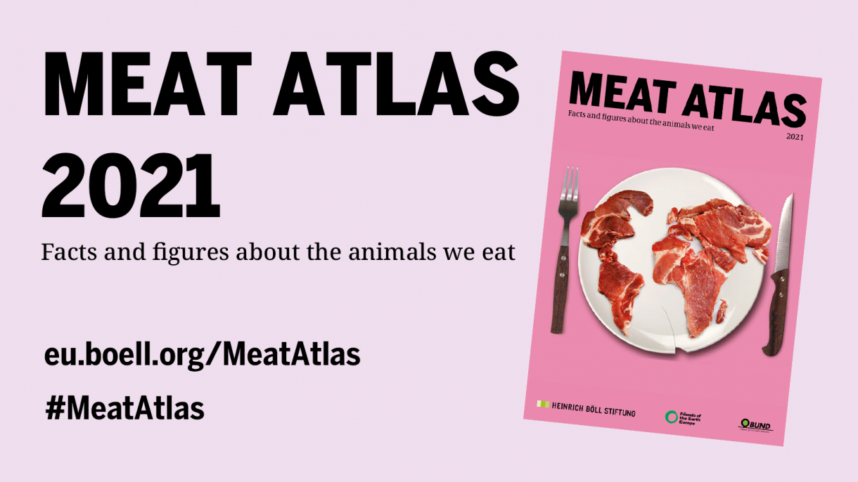 New ‘Meat Atlas’ lays out the facts and figures on meat, our health and
